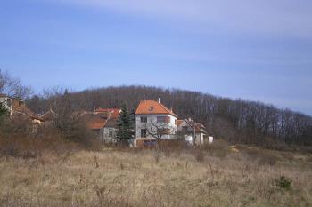  (© Milan Náplava, 03/2008)