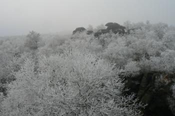  (© Prudký Martin, 11/2011)