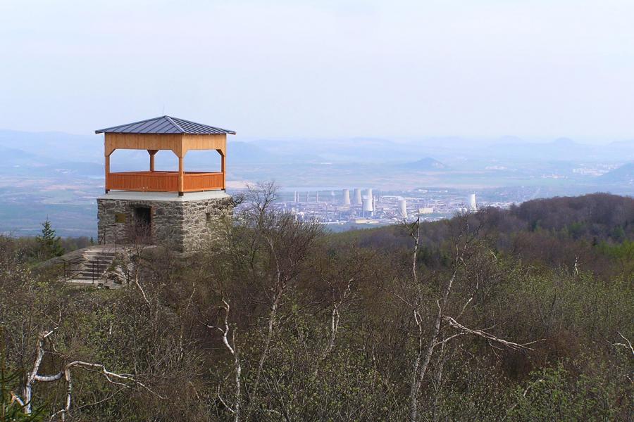 Jeřabina