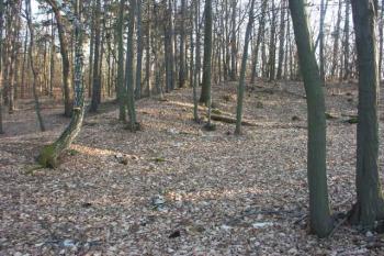 obvodový val na severovýchodě ( © Milan Caha 03/2008)