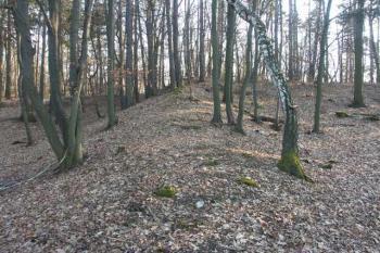 obvodový val na severovýchodě ( © Milan Caha 03/2008)