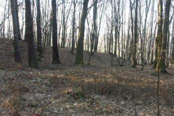 šíjový val na východě ( © Milan Caha 03/2008)