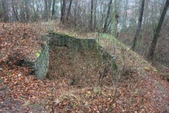  (© Luděk Vláčil, 27.12.2013)
