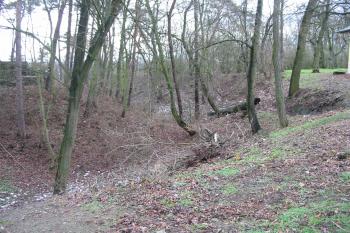 jv.příkop (© D Dohňanský, 01/2016)
