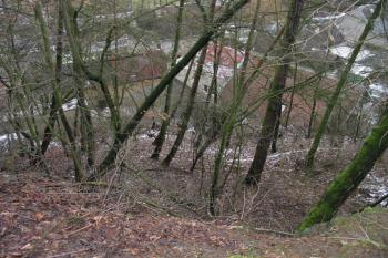 severní sráz hradního areálu (© D Dohňanský, 01/2016)