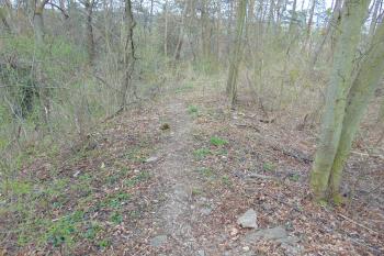 Linie obvodové hradby předhradí, které se nachází vpravo /pohled od východu (© Dušan Dohňanský  04/2021)