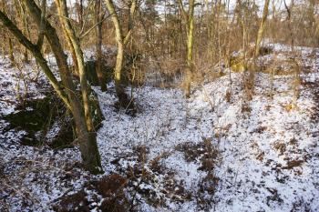  (© Pavel Semple 01/2026)