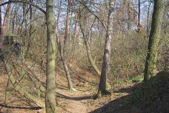 šíjový příkop ( © Ondřej Štěpánek 04/2007)