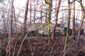 Náměšť na Hané - hrad (© Dejv Róza, 03/2010)