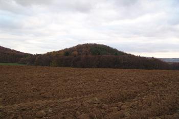 Celkový pohled od severu na kopec Hradisko ( © Roman Řezáč 11/2006)