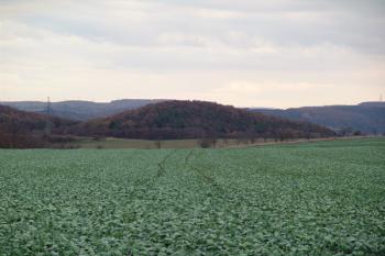 Celkový pohled od západu ( © Roman Řezáč 11/2006)