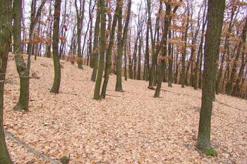 Patrný příkop a val před severní, opevněnou částí hradiště ( © Roman Řezáč 11/2006)