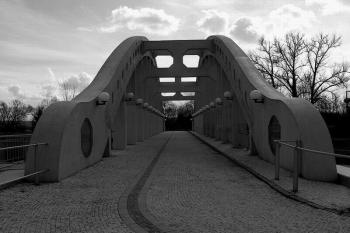  (© Roman Růžanský, 03/2008)
