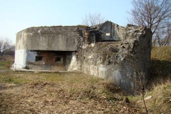  ( © Miroslav BITTER 03/2008)