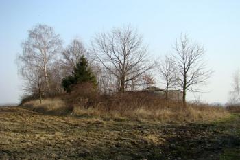 Pohled na pěchotní srub MO-S 22 František umístěný na nevýrazné terénní vlně ( © Miroslav BITTER 03/2008)