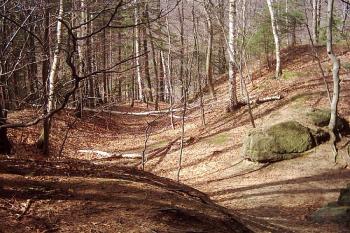 Jezdec ( © Michal Merkl 03/2004)
