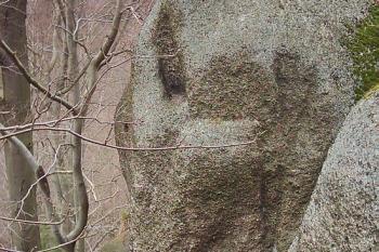 Jezdec ( © Michal Merkl 03/2004)