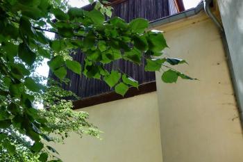  ( © František Kinař 05/2017)