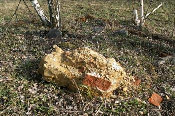 Pozůstatek demolice (snad zbytek zdiva budov zámeckého dvora) ( © Miroslav BITTER 02/2007)