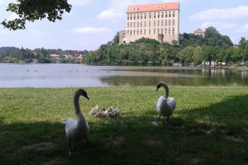  ( © Ivo Rozehnal 06/2015)