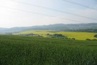 Lísky