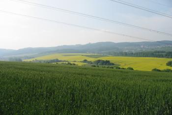 pohled z jižní strany tvrze na jih / směrem na Střílky- vpravo/ (© D Dohňanský, 06/2015)