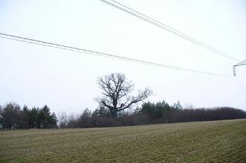 hrádek Lísky (© zdeněk komínek, 04/2008)