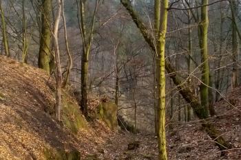Zakončení příkopu předního hradu na severu. (© Dušan Dohňanský 04/2020)