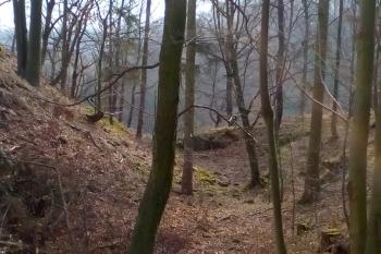 Čelní příkop s valem před předním hradem /pohled od severu/ (© Dušan Dohňanský 04/2020)