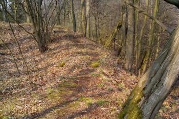 Linie východní hradby předního hradu (© Dušan Dohňanský 04/2020)