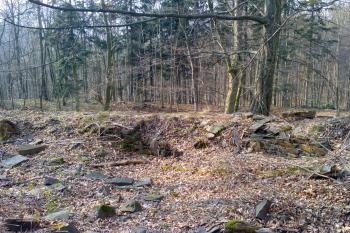 Vnitřní líc záp. hradby předního hradu (© Dušan Dohňanský 04/2020)