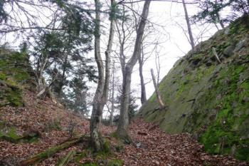 uměle upravená skalní průrva sloužící jako mohutný šíjový příkop před zadním hradem ( © Jan P. Štěpánek 11/2009)