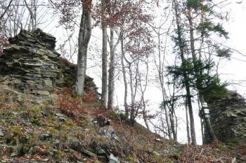 pohled od jihozápadu, z místa vstupní branky na torzo štítové čelní zdi (vlevo) a pozůstatek obytné věže zadního hradu (vpravo) ( © Jan P. Štěpánek 11/2009)