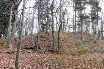 pohled na jihozápadnízakončení mohutného čelního valu předního hradu ( © Jan P. Štěpánek 11/2009)