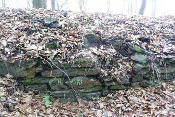 část zachovalého vnějšího líce hradby předního hradu na severozápadě ( © Jan P. Štěpánek 12/2009)