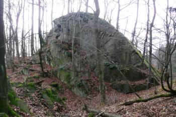 Zadní hrad - od severozápadu působí čelo skalisko takřka nepřístupně a nedobytně ( © Jan P. Štěpánek 12/2009)