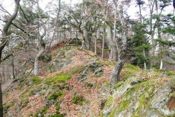 skalnatý hřeben spojující přední a zadní hrad ( © Jan P. Štěpánek 12/2009)