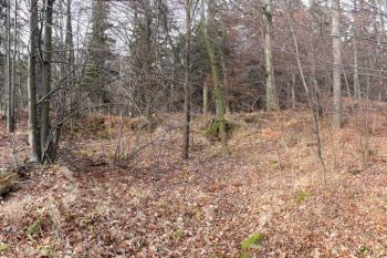 panoramatický pohled na plochu jádra předního hradu od východu ( © Jan P. Štěpánek 12/2009)