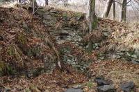 Puchart
