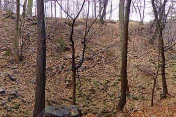Puchart - Přední hrad (© Jaroslav Řezáč 2004)
