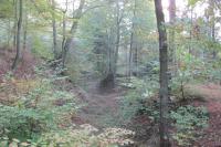 Přerovec