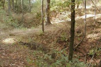 Příkop a val na Přerovci (Roman Krejčí - 2003)