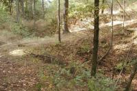 Přerovec