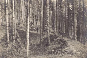 Přerovec - Fotografie z roku 1921 (soukr.sbírka IvoR) (© anon.)