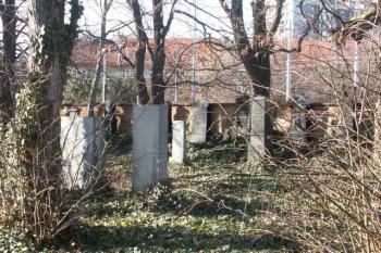  ( © Milan Caha 04/2008)