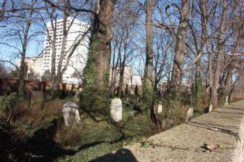  ( © Milan Caha 04/2008)