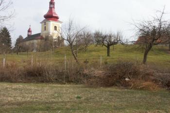 tvrziště od severozápadu ( © Milan Caha 04/2008)