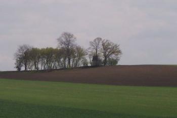 Čehovice - kaple sv. Prokopa (© Ivo Rozehnal, 04/2008)