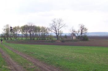 Čehovice - kaple sv. Prokopa (© Ivo Rozehnal, 04/2008)