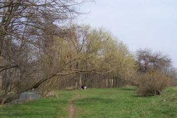 Hloučela (© Ivo Rozehnal 2007)